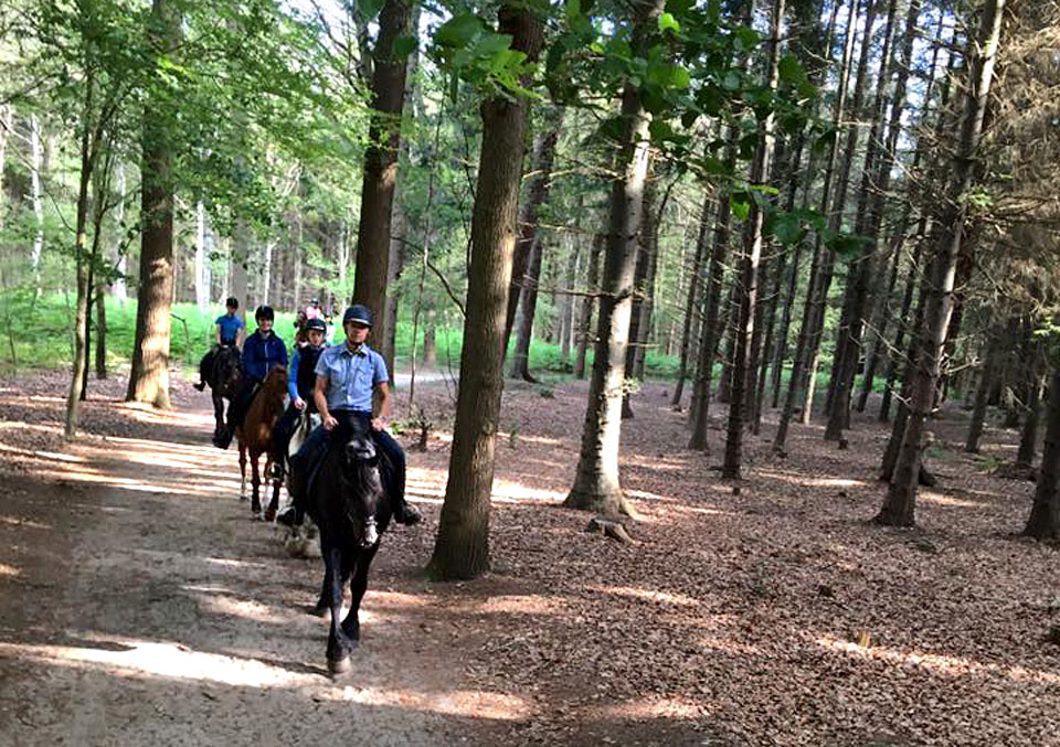 Buitenrit manegepaarden Oranjewoud Stal Sibma