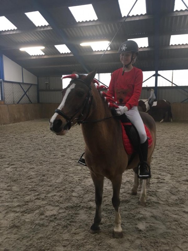 Kerstconcours 2017 bij Stal Sibma Heerenveen