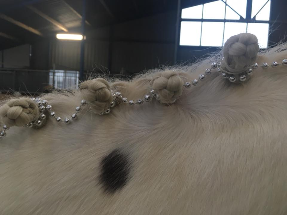 Versierde manen van paarden bij kerstshow Stal Sibma