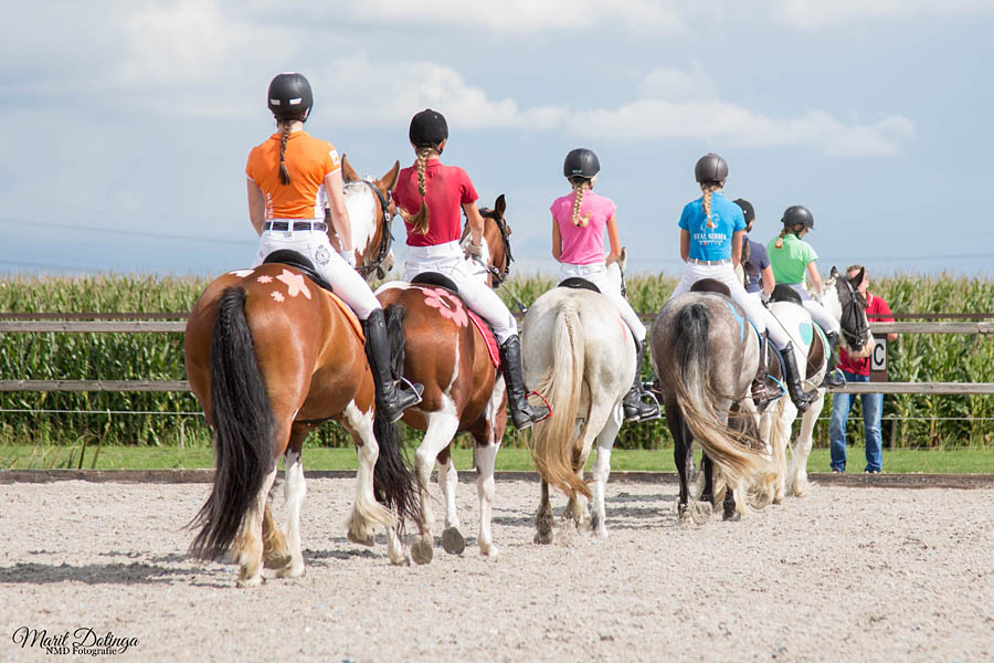 Open dag Stal Sibma 2017: paardentrein in de buitenbak Open dag Stal Sibma 2017: paardentrein in de buitenbak
