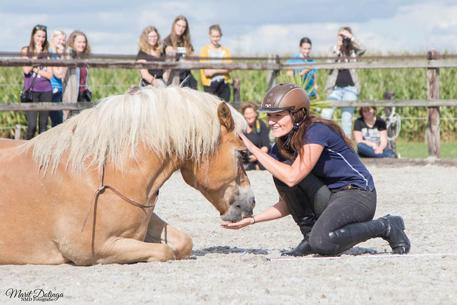 Open dag Stal Sibma Rottum 2017: demonstratie Open dag Stal Sibma Rottum 2017: demonstratie