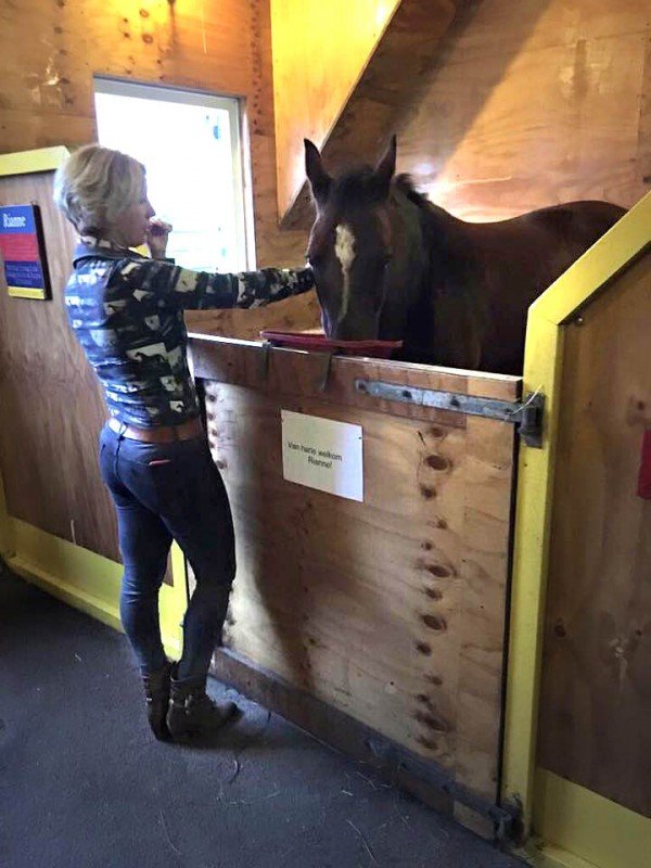 Paarden No Limit en Rianne naar stichting oud manegepaar in Beetgumermolen Paarden No Limit en Rianne naar stichting oud manegepaar in Beetgumermolen