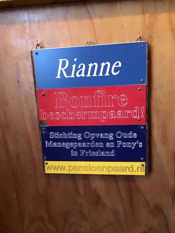 Oude manegepaarden van Stal Sibma met pensioen Oude manegepaarden van Stal Sibma met pensioen