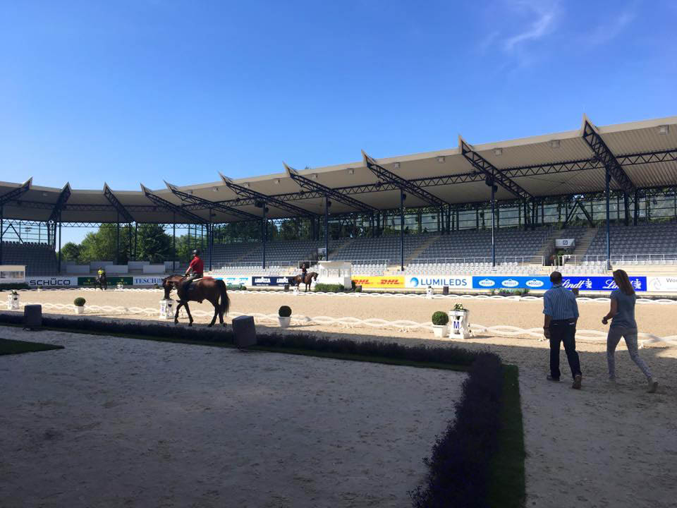 CHIO Aachen 2017 Stal Sibma Royal Friesian Club