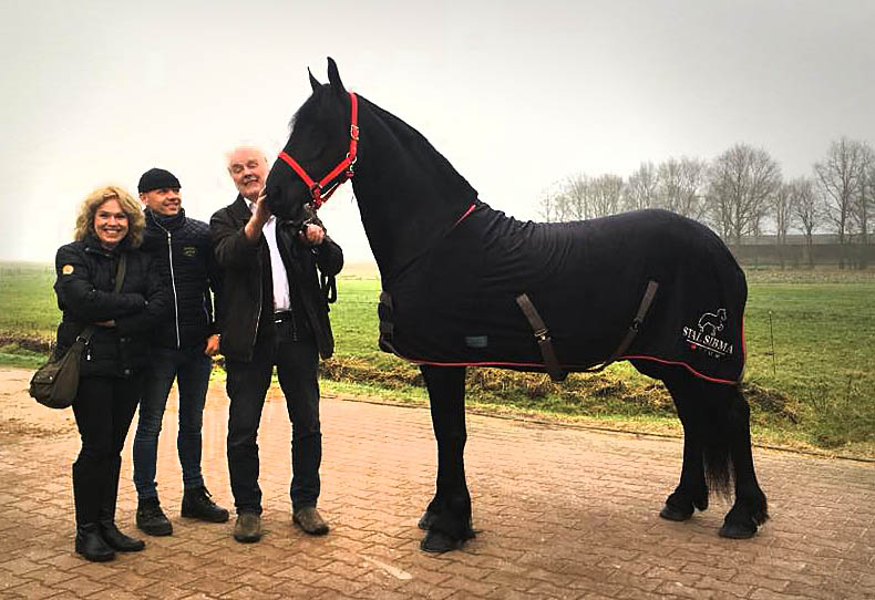 paard verkocht familie bakker