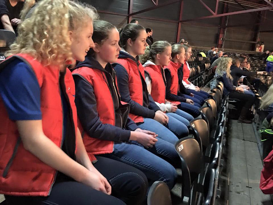 Young Leaders van Stal Sibma op de tribune in het WTC bij de hengstenkeuring faderpaard Young Leaders van Stal Sibma op de tribune in het WTC bij de hengstenkeuring faderpaard