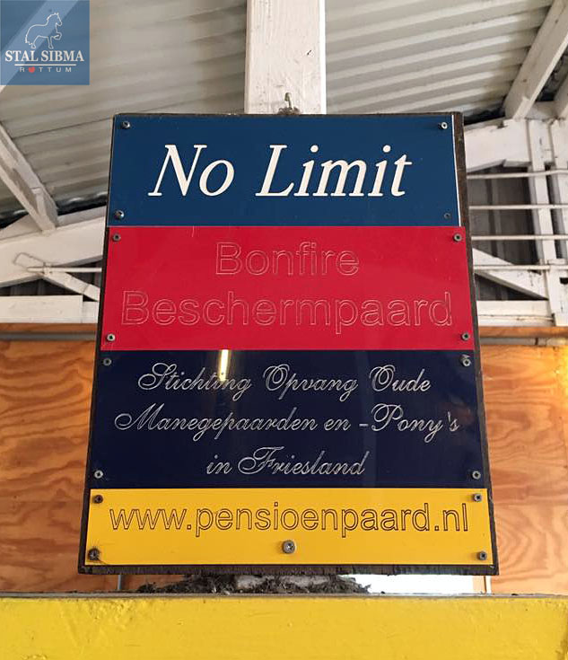 young leaders excursie pensioenpaard no limit