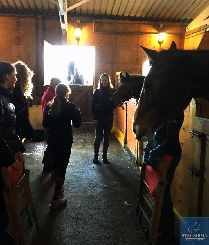 young leaders pensioenpaard beetgumermolen