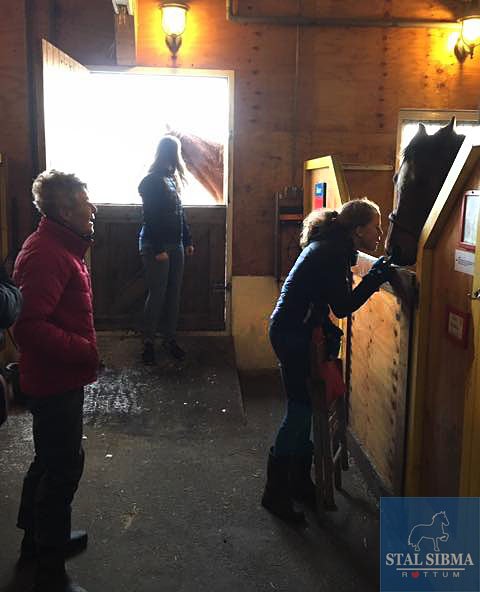 young leaders pensioenpaard excursie stal sibma