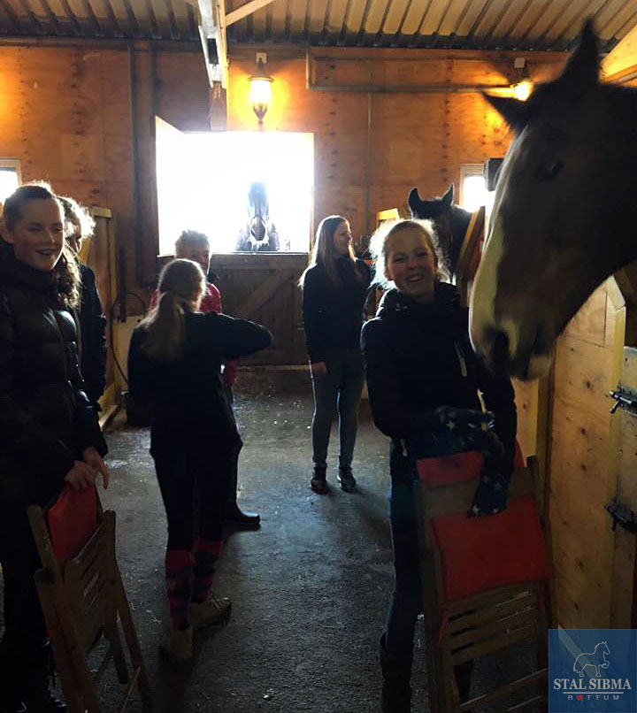 young leaders pensioenpaard opvang oude manegepaarden