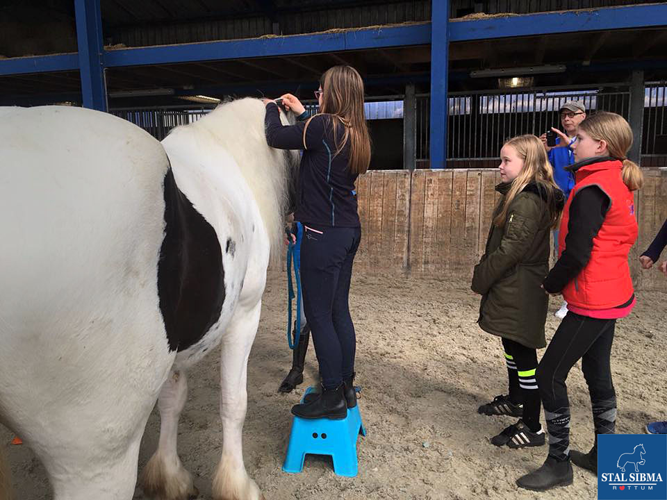 1804 young leaders invlechten cursus