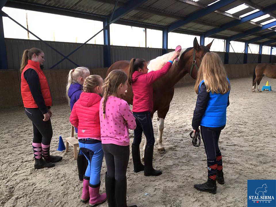 1804 young leaders invlechten en poetsen pony