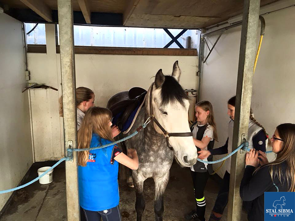 1804 young leaders pony poetsen