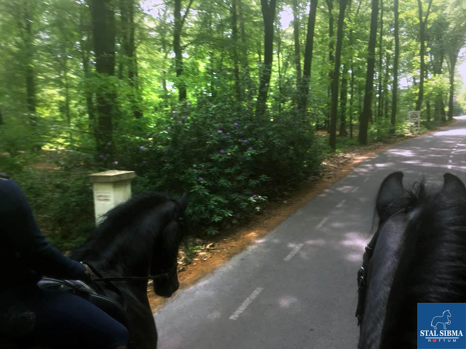 ponykamp onderweg