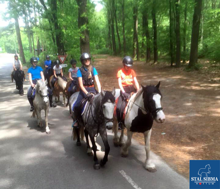 ponykamp stal sibma