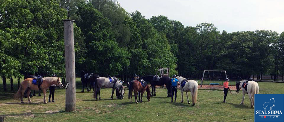 ponykamp veluwe einde rit stal sibma