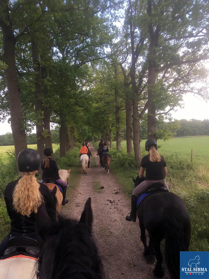 ponykamp veluwe genieten van landschap