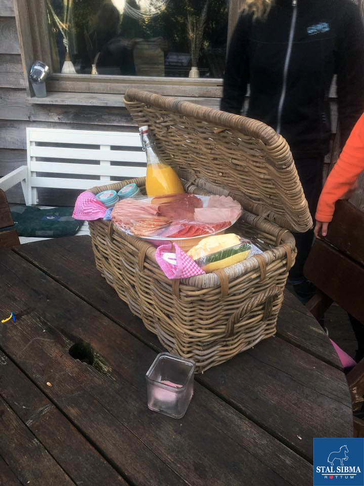 ponykamp veluwe picknickmand voor onderweg