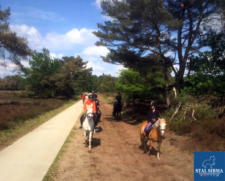 ponykamp veluwe prachtig weer