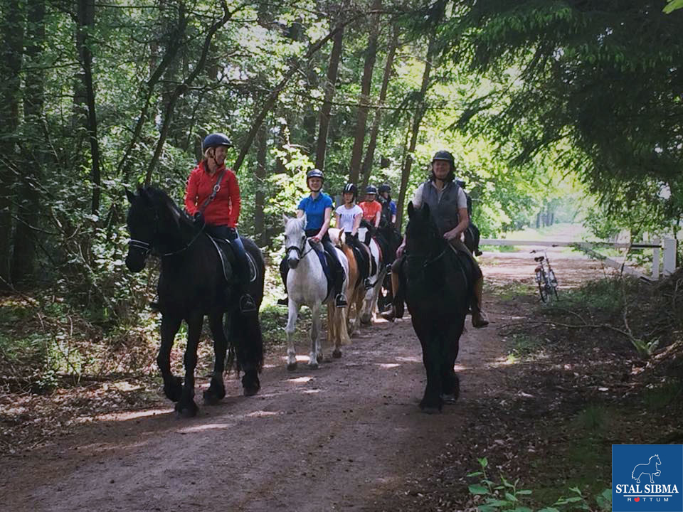 ponykamp veluwe rianne sibma