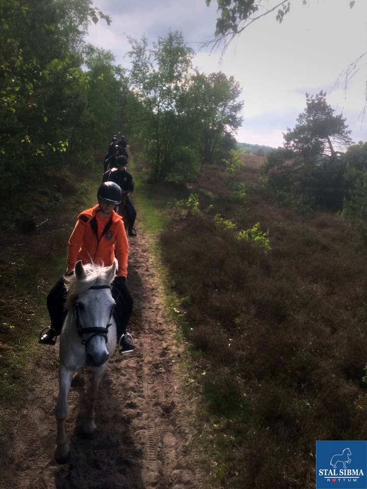 ponykamp veluwe smalle paden