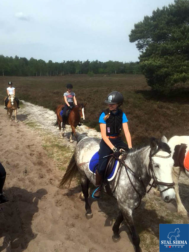 ponykamp veluwe succes