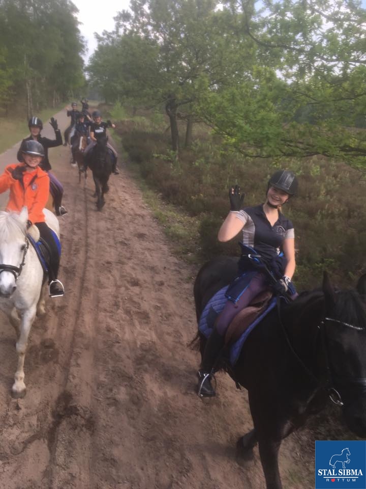 ponykamp veluwe