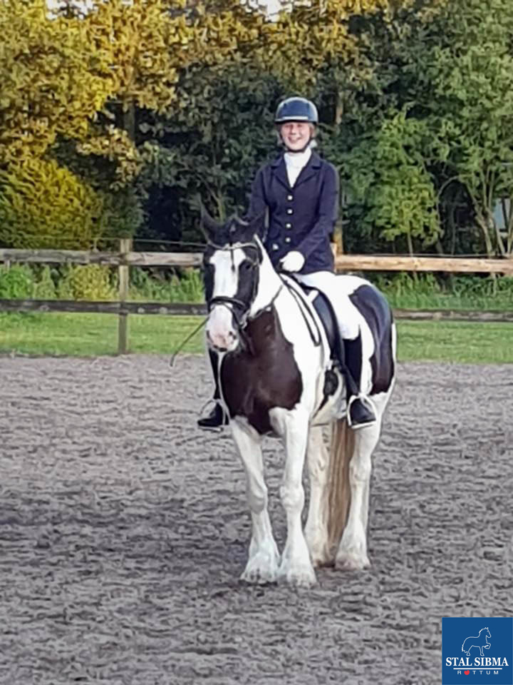 noordwolde b dressuur elise