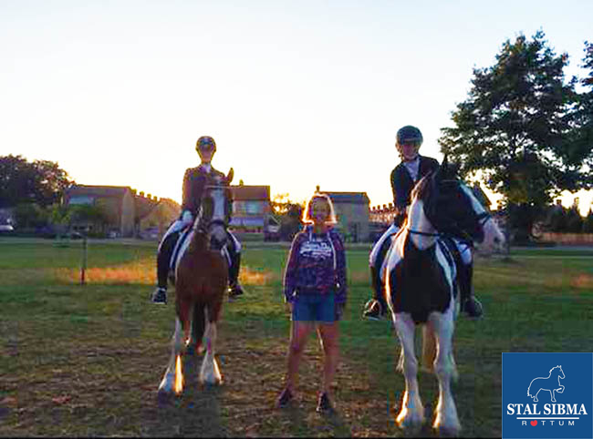 noordwolde b dressuur stal sibma succes
