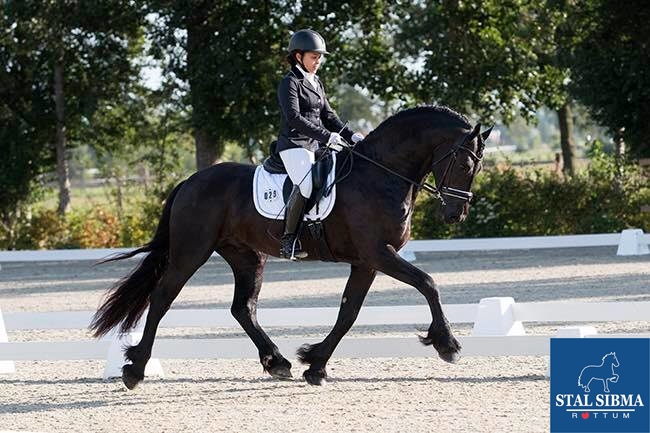 talentenwedstrijd tolbert stal sibma