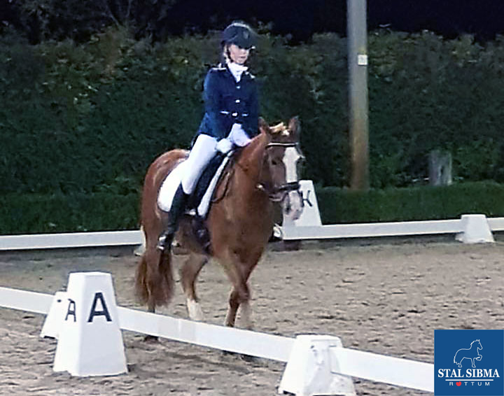 talententeam wint prijzen dressuur sibma