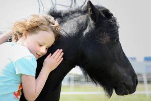 Paardencoach friesland kinderen