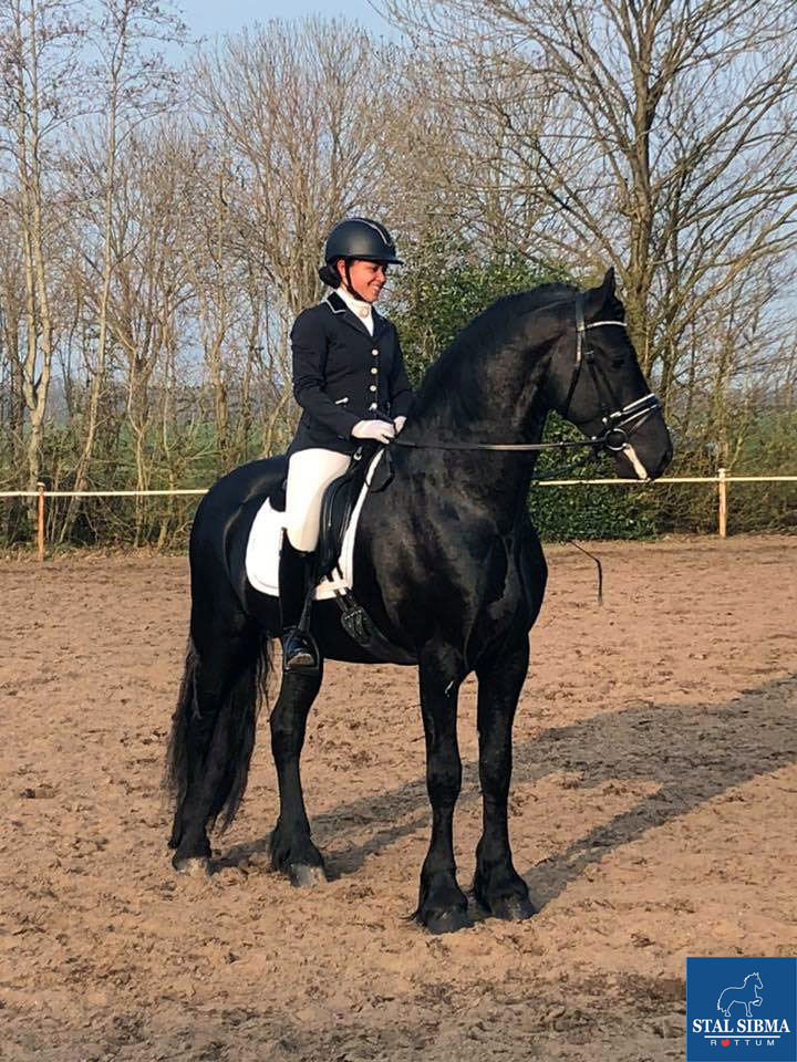 dressuurwedstrijd succes stal sibma