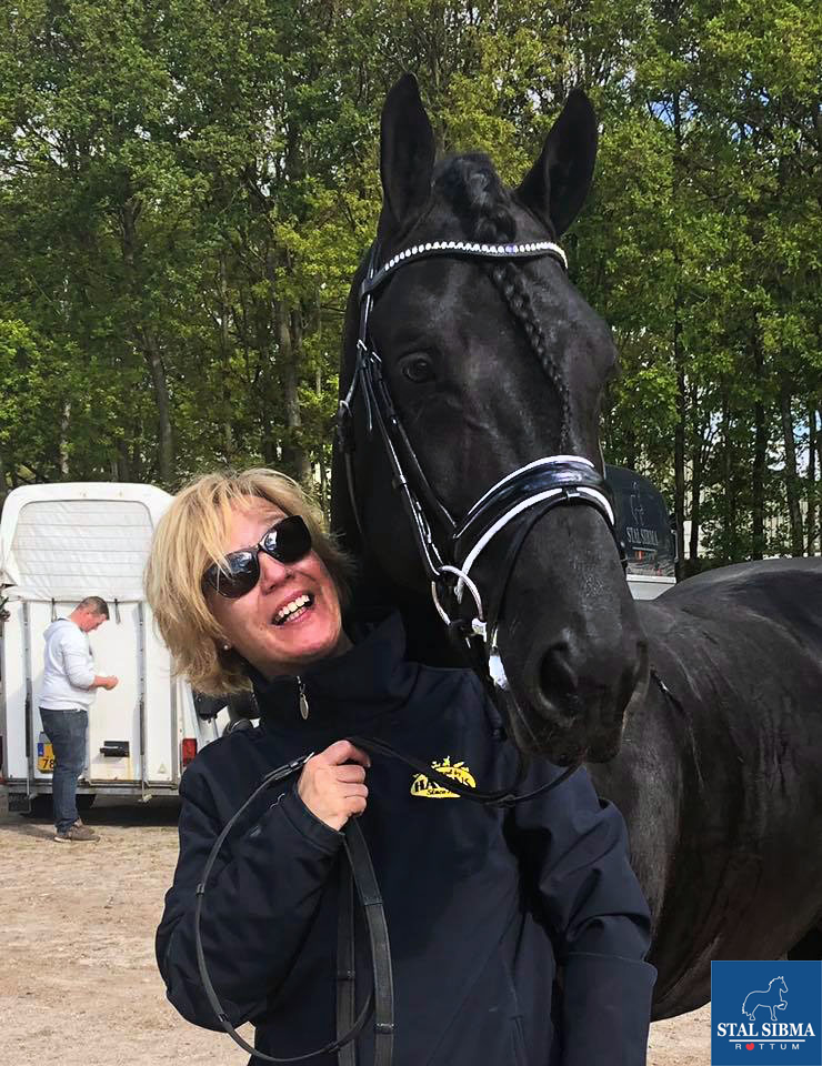 dressage 4 year stallion