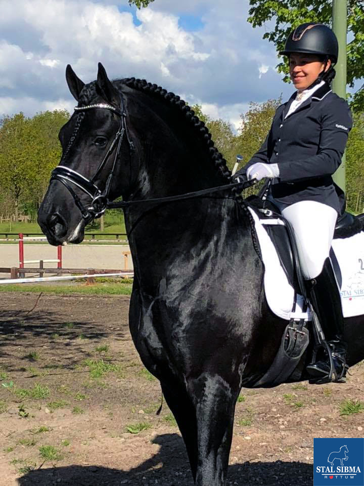 dressage mellanie welles