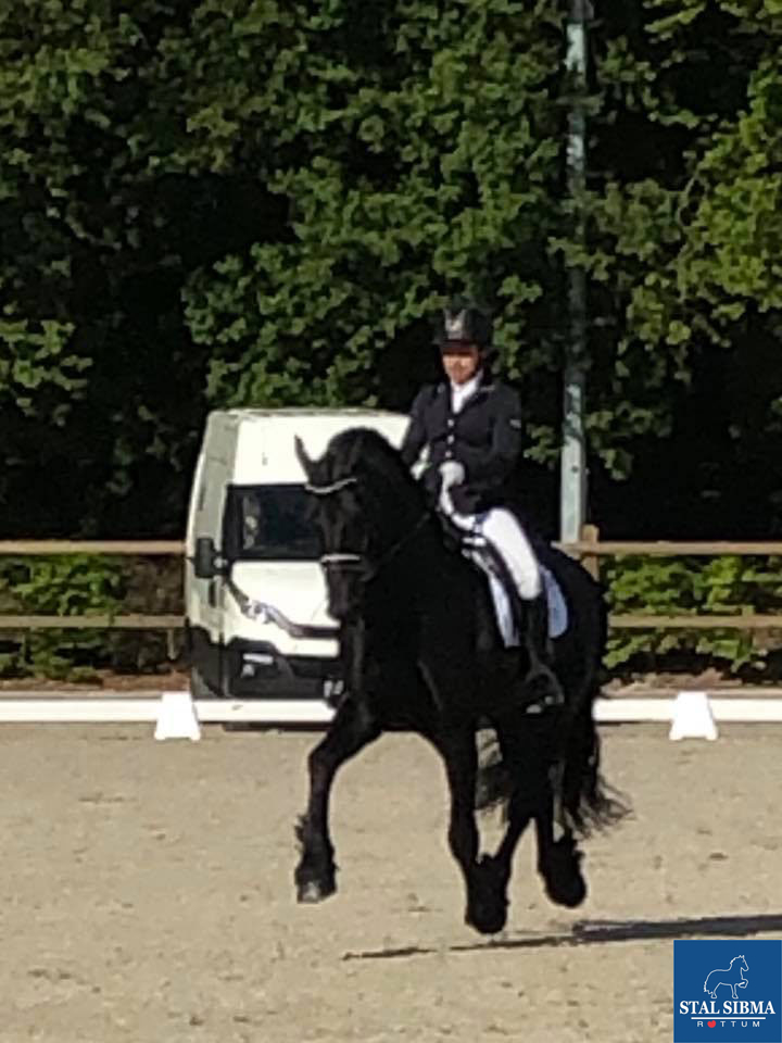 dressage prices stal sibma
