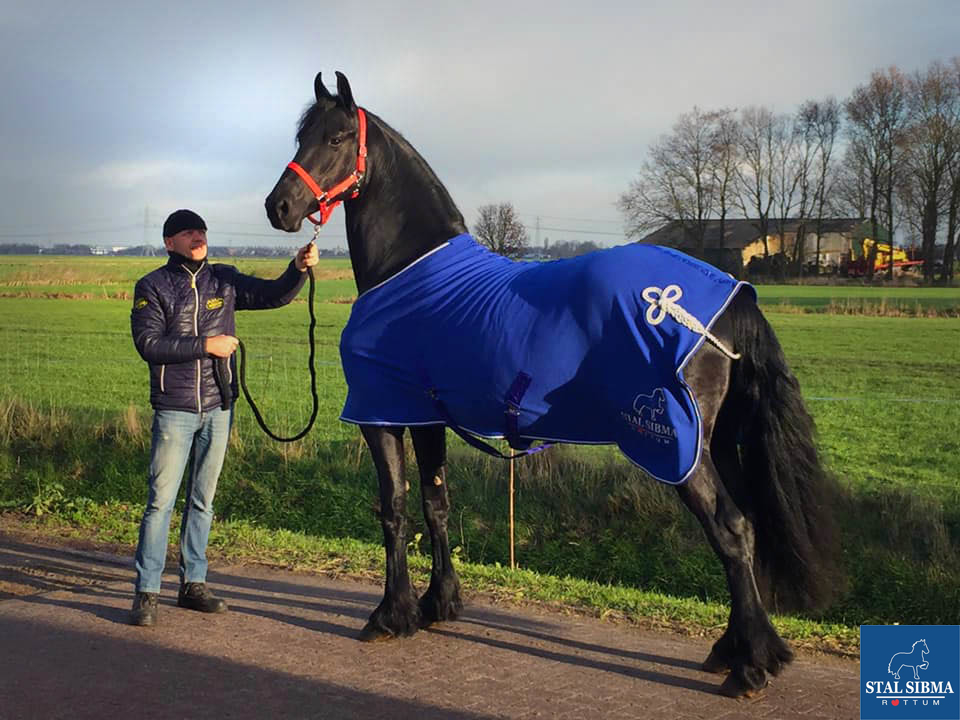 stunning stermare zamke piet sibma
