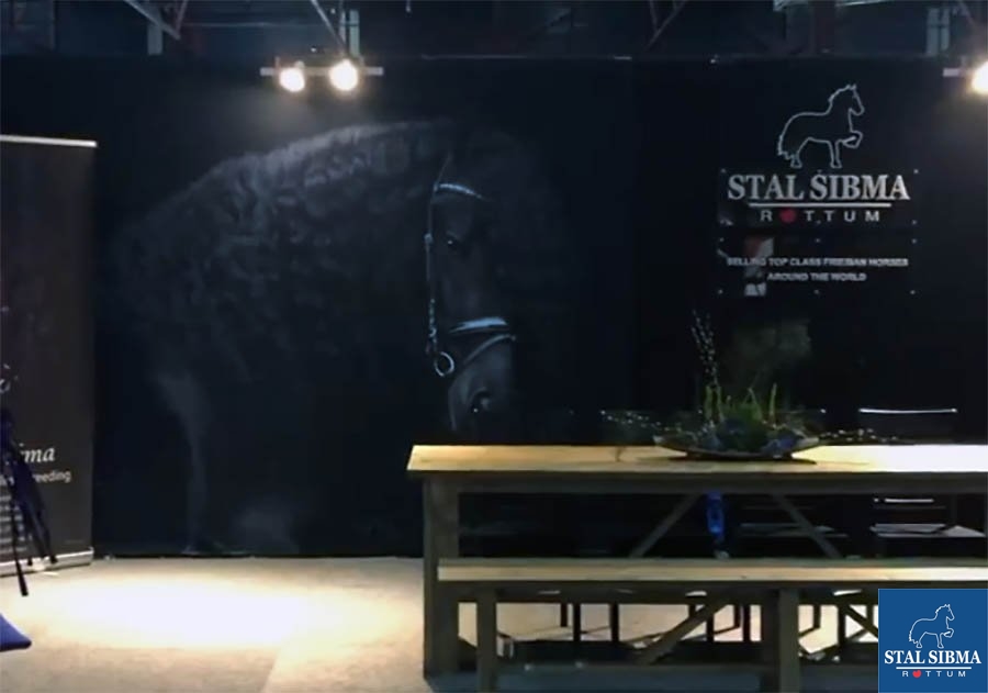 stal sibma kfps friesian horses fec leeuwarden 2020