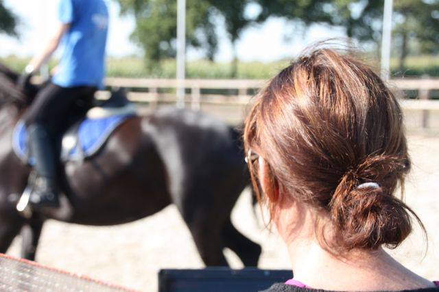 paarden clinic Jenny Veenstra bij Stal Sibma