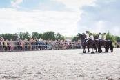 open dag stal sibma rottum