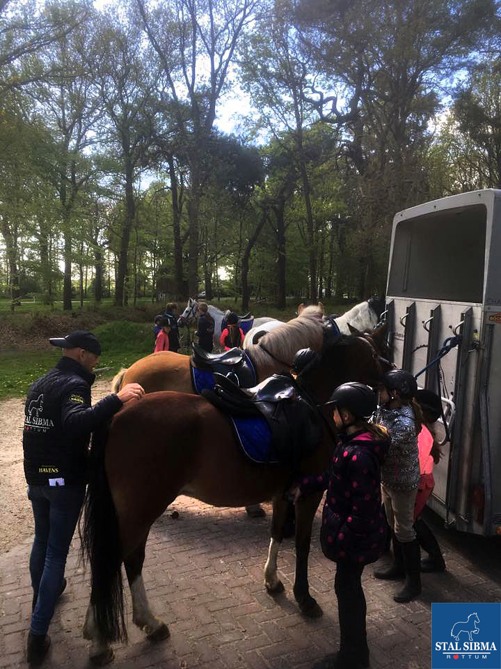 ponykamp oranjewoud stal sibma