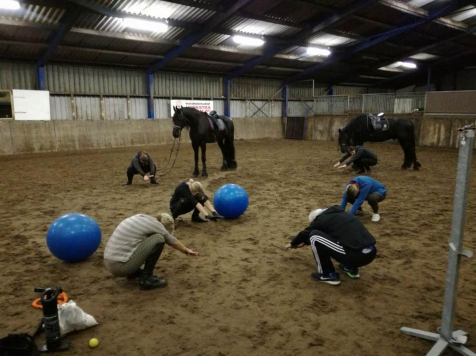 Ruiterfit bij Stal Sibma
