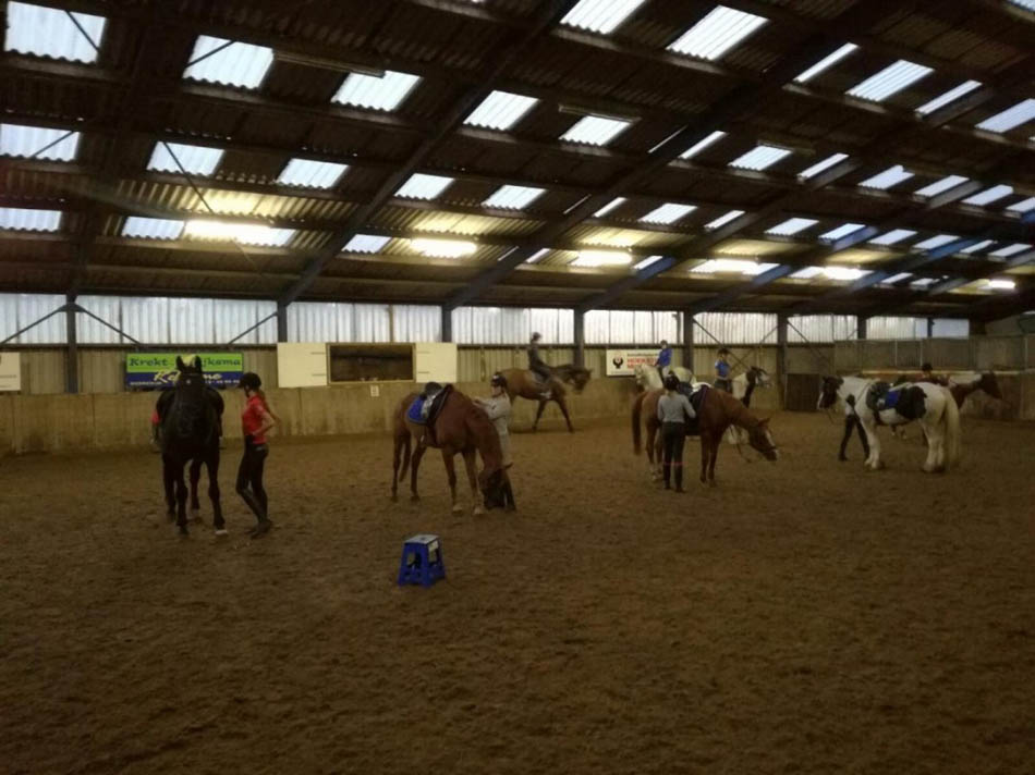 Ruiterfit training bij Stal Sibma in Rottum