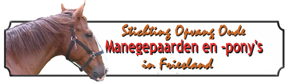 Stichting Opvang oude manegepaarden en ponys in Friesland