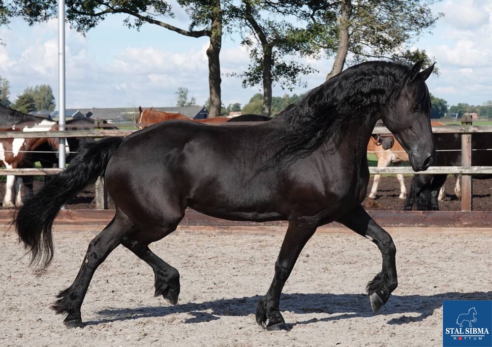 indra 05
