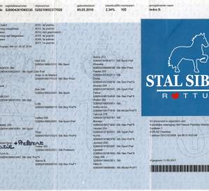 Stamboekpapieren Indra