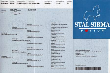 Lys Tsjallina